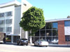 Mind and Body | Acupuncture | Beverly Hills | Beverly Hills 